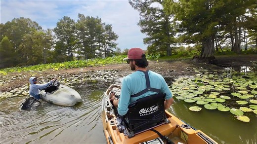 Slaying fish in the creek led to a huge mistake