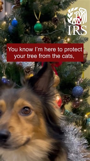 Each year during National #TaxSecurity Awareness Week, #IRS and the Security Summit highlight steps to protect your personal information from identity thieves as the holidays and the upcoming tax season approach. Learn more at www.irs.gov/securitysummit. | IRS