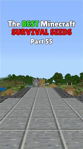 The BEST Minecraft SURVIVAL SEEDS - Part 55