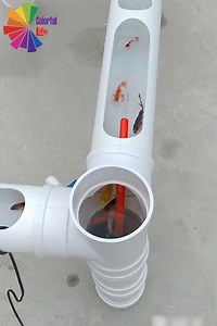 11K views · 38 reactions | Amazing Creatives with Polymer Pipe | Eva Daily | Facebook