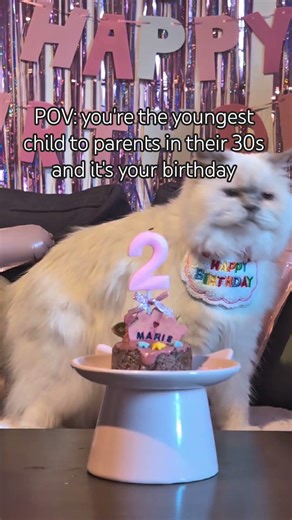 Marie turns 2! 🎀🤍🎂🥹 #catshorts #catbirthday #catmom #catvideos #catlovers