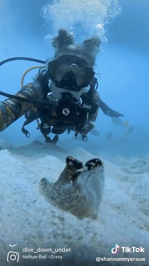 Nude Scuba Diving Adventures at the Great Barrier Reef