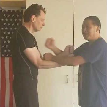 Wing Chun Rising Punch #wingchun #kungfu