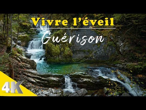 Musique Zen | Bruit de l'eau qui coule | chant des oiseaux Nature | Méditation Relaxation | Dormir