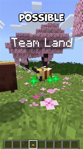 Minecraft's New TINY TAKEOVER Challenge is here! 🐤 #minecraftpartner