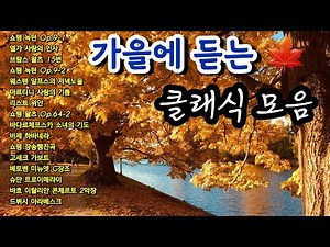 가을에 듣는 클래식 명곡 모음 | 클래식 피아노 연주 플리 | Autumn piano playlist | 출,퇴근 클래식 플리 | 산책. 티타임 클래식 피아노 플레이리스트 | 힐링