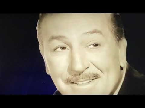 DVD Menu Walkthrough to Toy Story