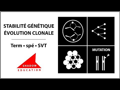 Stabilité génétique et évolution clonale - Term spé SVT