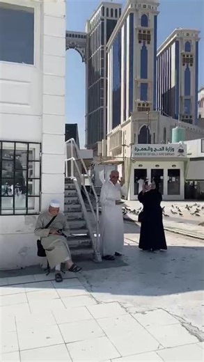 “Cute Pigeons in Action – Flying, Feeding & Funny Moments”