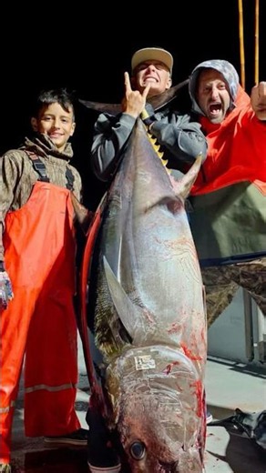 🌙 Bluefin Bite Returning? Big Fish on Pacific Voyager & Independence 🎣