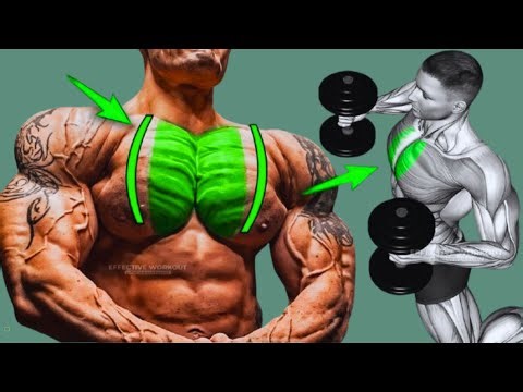 5 Modern Chest Exercises to Build Muscle Faster and Smarter