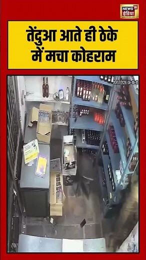 Leopard Viral Video: तेंदुआ आते ही ठेके में मचा कोहराम | #shorts #reels #viral #viralvideo