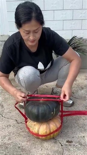 tutorial on tying a pumpkin to make it easy to carry