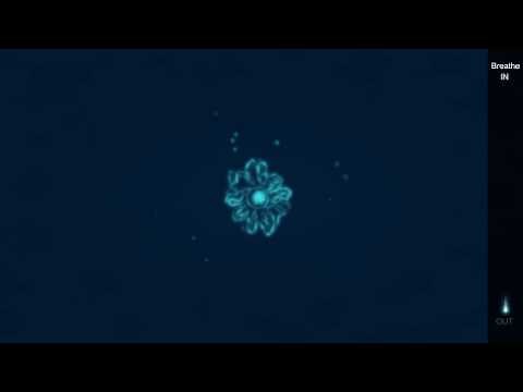 Relaxed Breathing Training, Version D