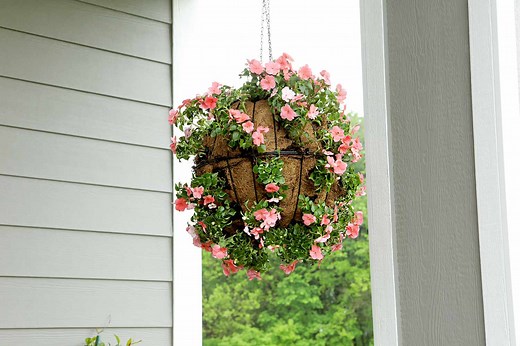 Create a Stunning Spherical Hanging Basket in Just 20 Minutes—Here's How