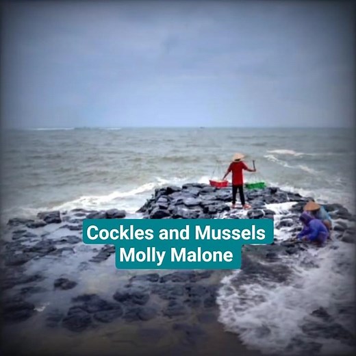 Cockles & Mussels (Molly Malone) #traditionalirishmusic #ballad #flute #celticmusic