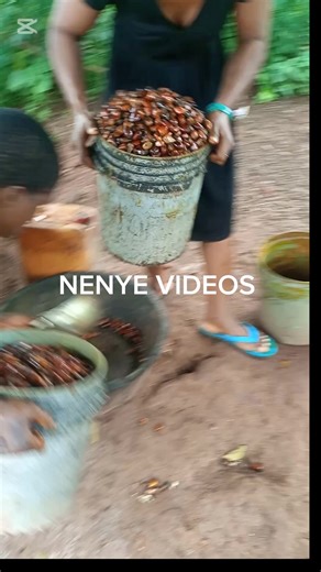 Mini digester for restaurants and small millers. Very easy to clean. #chinenyeezeonyebuchi | Chinenye Ezeonyebuchi
