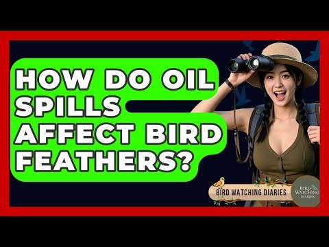 How Do Oil Spills Affect Bird Feathers? - Bird Watching Diaries
