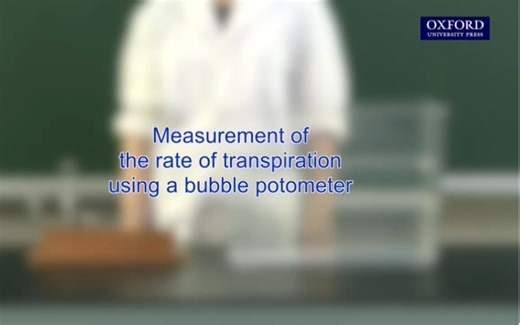 生物｜用蒸腾计测量植物的蒸腾速率｜Measurement of transpiration rate using a bubble potometer