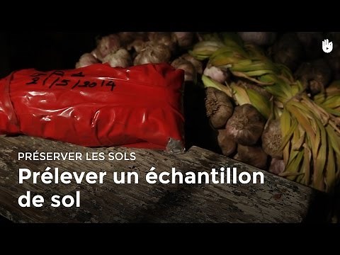 Prélever un échantillon de sol | Jardiner