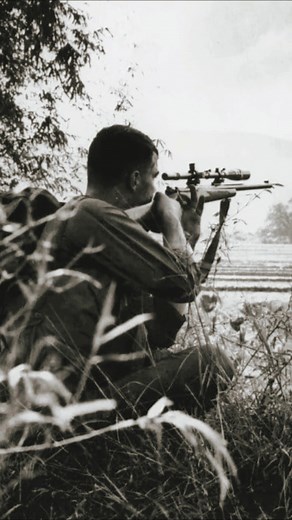 The Most Lethal Sniper of the Vietnam War 🎯 #shorts | Old Storyteller