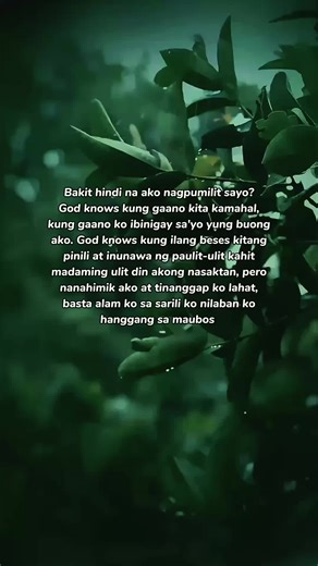 LIVE Incentive Program: Earning Made Easy