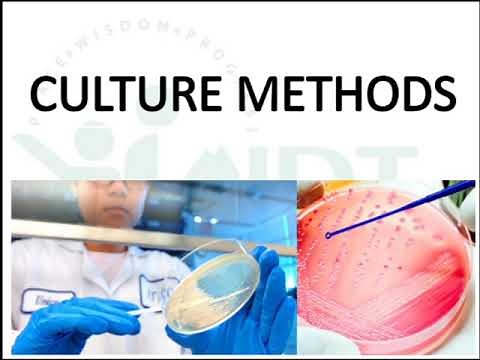 Bacterial Culture Methods Part 1: Aerobic Culture Methods