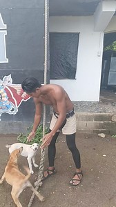 23K views · 683 reactions | "Rope Climbing" Upper Body Workout and for grip strength #training #exercise | Ghaz Wild | Facebook