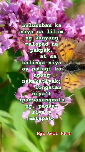 Lulukuban ka niya sa lilim ng kanyang malapad na pakpak, at sa kalinga niya
