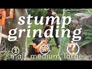 Stump Grinding - How Long Does it Take? Using Our Power King Stump Grinder On Different Size Stumps
