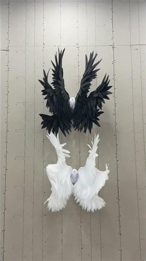 l accept custom order for wings.Check my wings on my web.The web link in my bio.