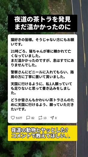 夜道の猫がまだ温かかった…この事実を知った全ドライバーへ #交通安全 #猫