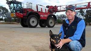 Wheat market ‘weak’ in new year tumble