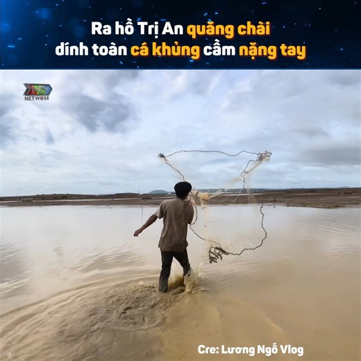 85K views · 189 reactions | Cá nhìn mê thiệt chứ Nguồn: Lương Ngố Vlogs Bản quyền được bảo vệ và quản lý bởi MCV Network #MCVNetwork #MCVGroup #MCVMedia #luongngovlogs #MCNYoutube #NWT #LNV | P336 Band | Facebook