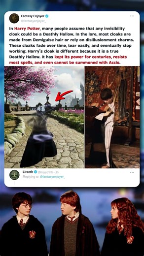 Why Harry Potter’s Invisibility Cloak is Truly Unique 🪄✨ #HarryPotter #WizardingWorld #fantasy