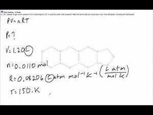 Module 11 Assignment Question 20
