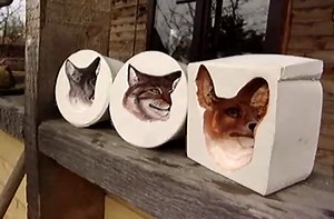 Animal optical illusion.