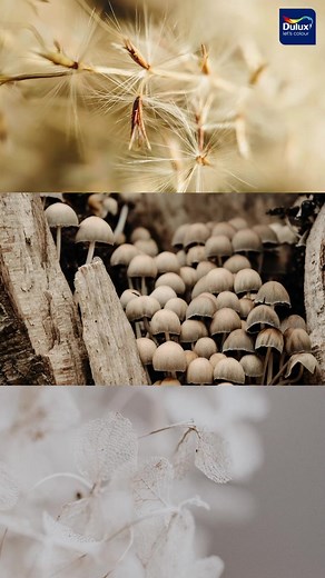 Our Dulux colour of the year 2023, Wild Wonder™ is a glowing, upbeat tone that celebrates and reflects the magic of nature. Creative Director of AkzoNobel’s Global Aesthetic Center, Heleen Van Gent, shares some key insights that highlight the research which inspired the choice for this year’s Dulux colour of the year 2023. Learn more: https://www.dulux.co.za/en/dulux-colour-of-the-year-2023 #CF23 #ColorTrends #COTY23 #DuluxSA | Dulux