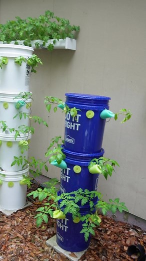 4.2M views · 61K reactions | Tomatoes in garden tower. Experimenting with different plants and nutrients. Lots of fun ahead. #hydroponics #gardening #gardeningtips # | Keep on Growin' | Facebook