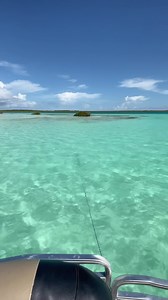 427K views · 10K reactions | Una Piscina Gigante de Agua Dulce en Bacalar Mexico   . . . #lagunadebacalar #viral #playa #vacation #playasdemexico #parati | NOE ADUNA | Facebook