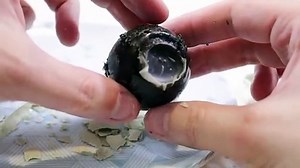 How_To_Make_a_Century_Egg.