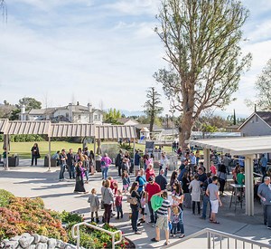 Give - Life Bible Fellowship Church