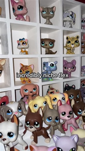 Amy 🐞 on Instagram: "1,200 and counting #littlestpetshop #lps #lpsgram #littlestpetshopcollector #littlestpetshopcollection #lpslover #toycollector #nicheflex #flex"
