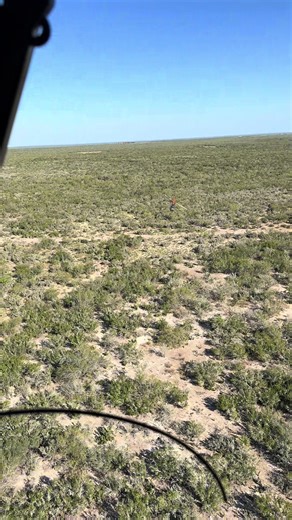 Unique Perspectives on Double Helicopter Operations