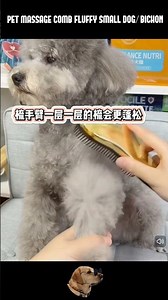 Pet Massage Comb Fluffy Small Dog/Bichon
