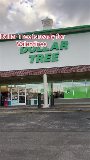Valentine's Day Finds at Dollar Tree: Shop Now!