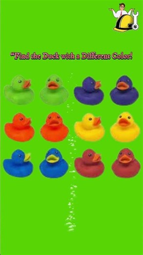 🎨 “Find the Colorful Duck! | Funny Duck Finding Challenge 🦆💛”duck finding challenge,#workilla