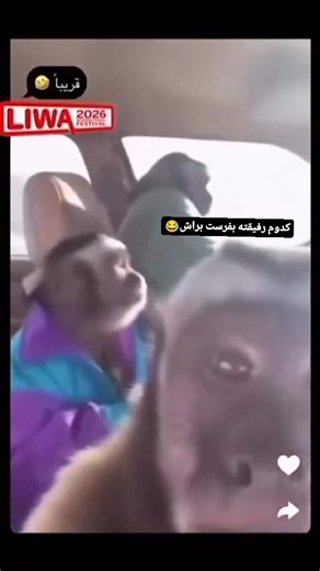 Japan_cars5 on Instagram: "😂😂"