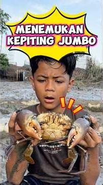Menemukan kepiting jumbo #wakmi #videolucu #kepiting #ngebolang #comedy