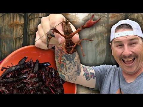 Catching Louisiana Crawfish (and Cooking Them!)